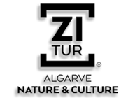 Zitur
